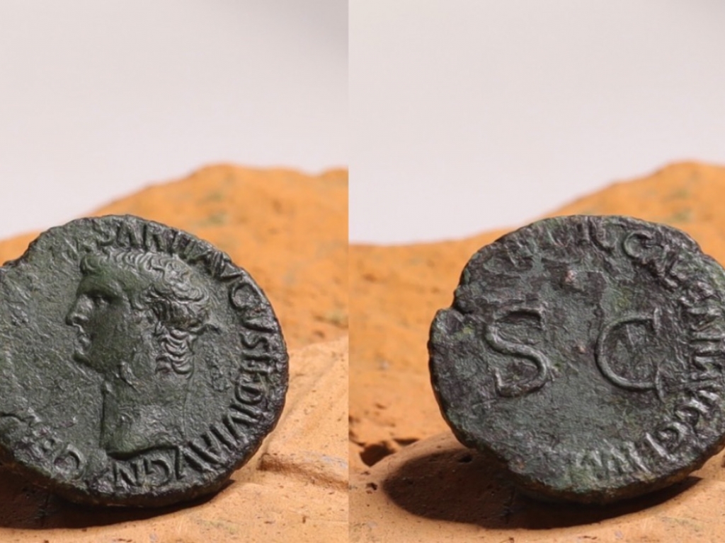 Roman As coin Germanicus (Caligula), Senatus Consultum