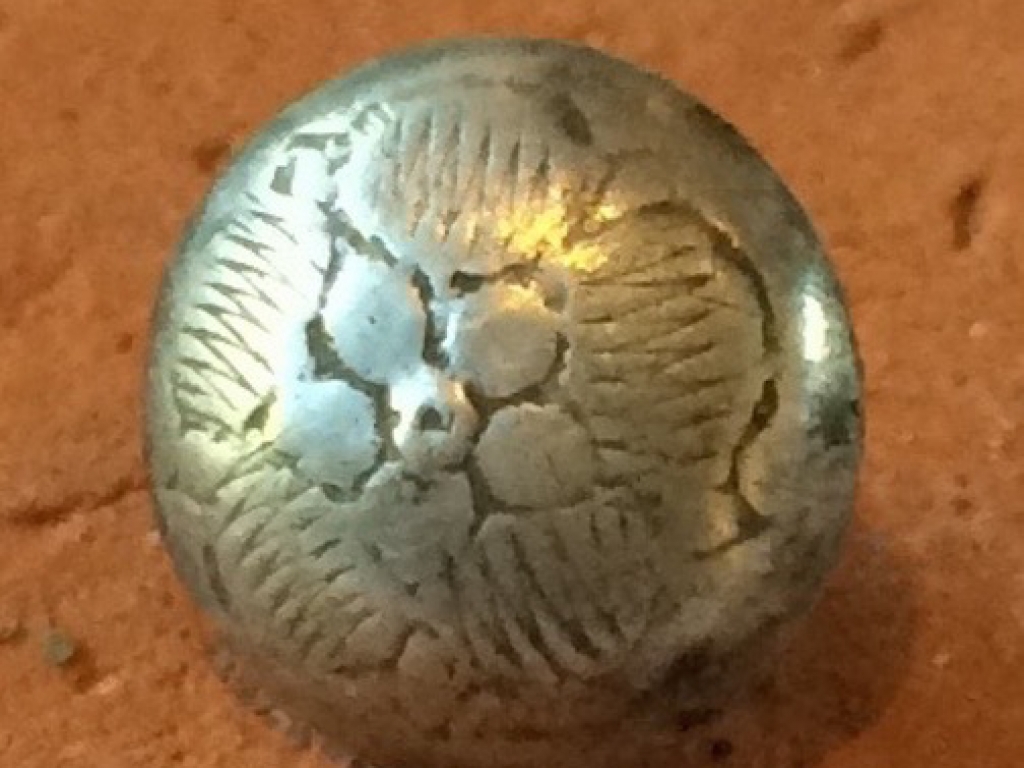 A beautiful silver button