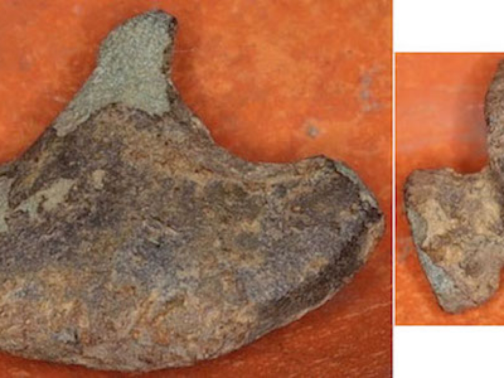 Roman shell or pelta-shaped harness mount