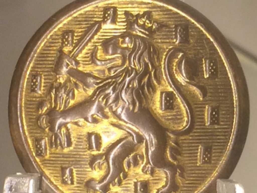 Dutch Army: Beautiful button with a Lion